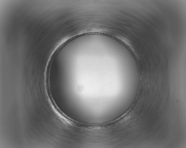 X0000056361135200508260939
