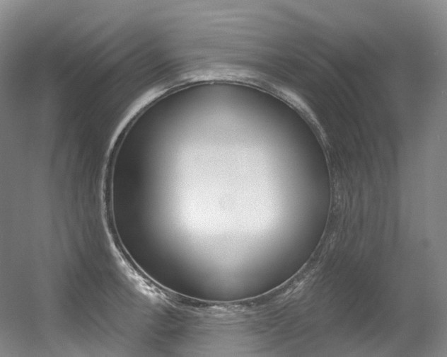 X0000056361138200508260939