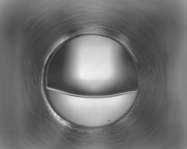 X0000056361139200508260939