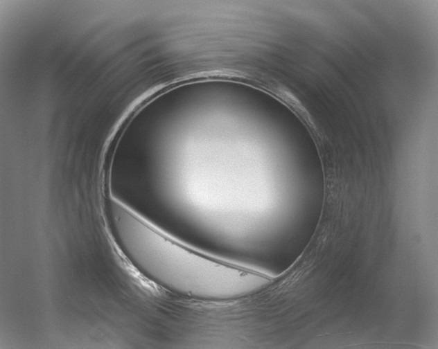 X0000056361140200508260939