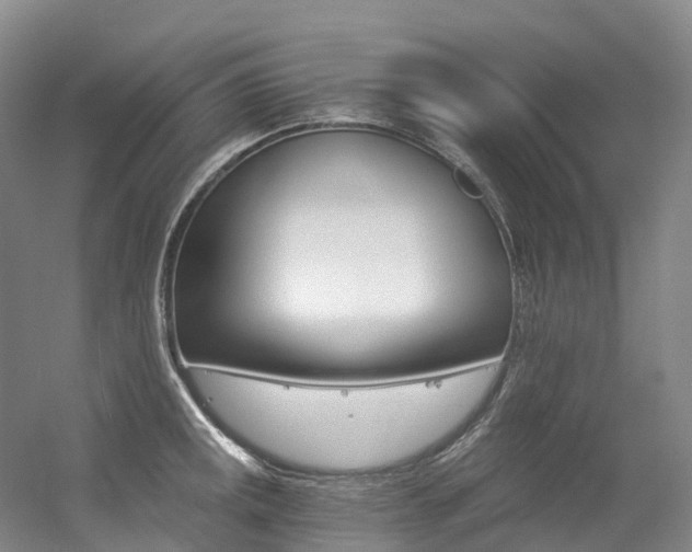 X0000056361141200508260939