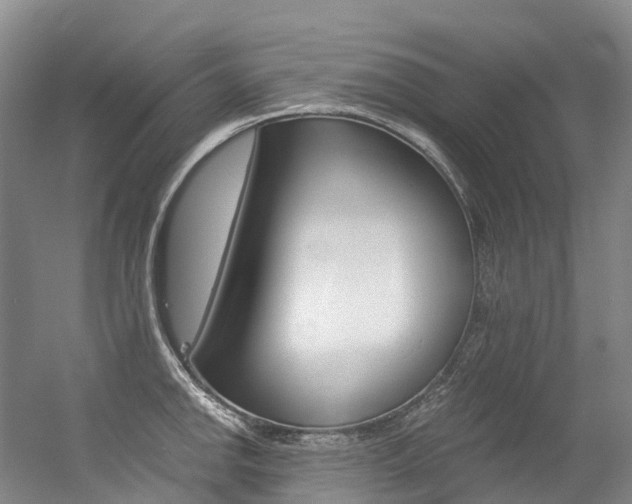 X0000056361142200508260939
