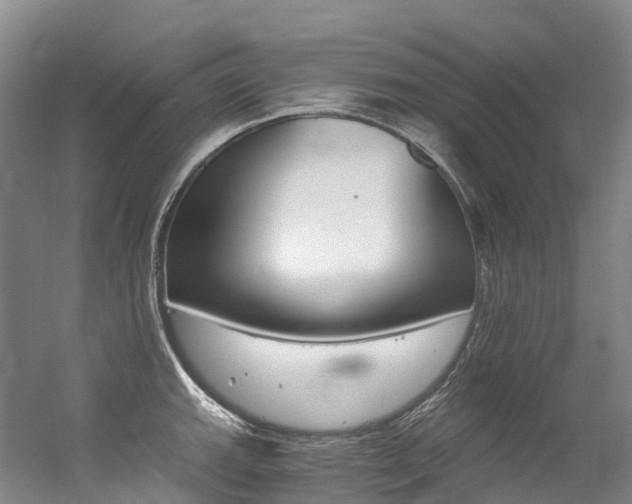 X0000056361143200508260939