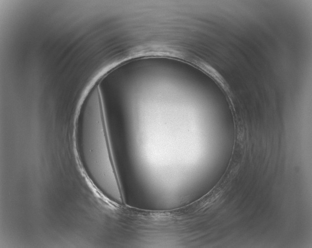 X0000056361144200508260939