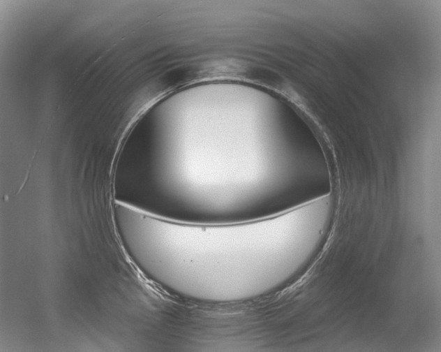 X0000056361145200508260939