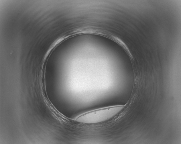 X0000056361146200508260939