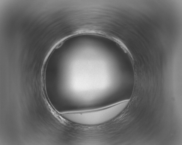 X0000056361148200508260939