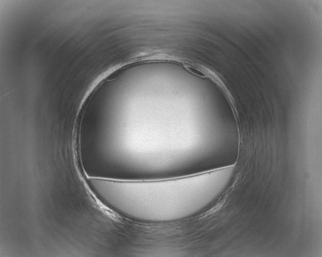 X0000056361149200508260939