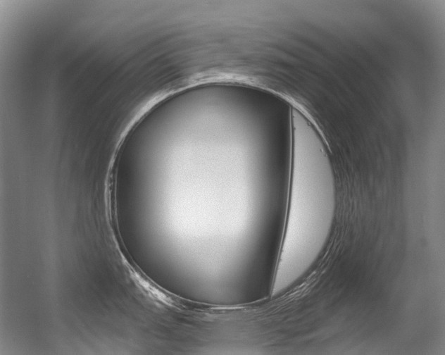 X0000056361151200508260939