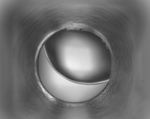 X0000056361152200508260939