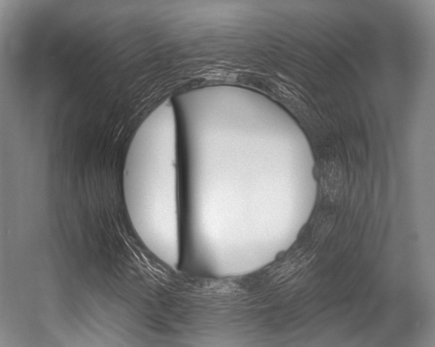 X0000056361154200508260938