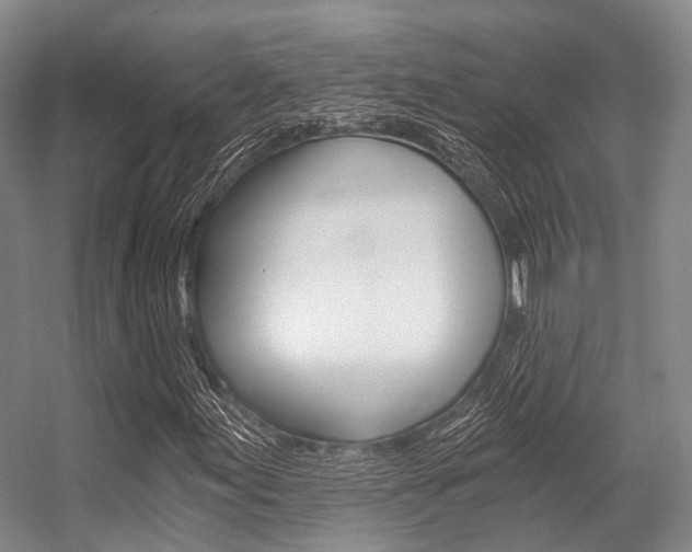 X0000056361155200508260938