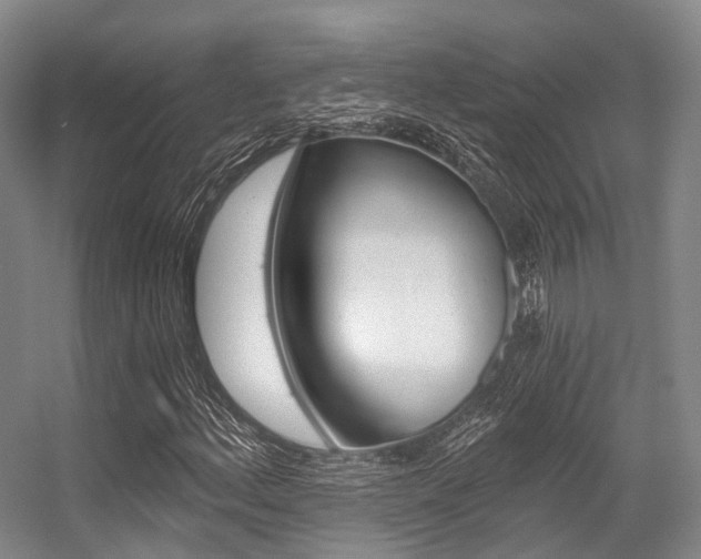 X0000056361156200508260938