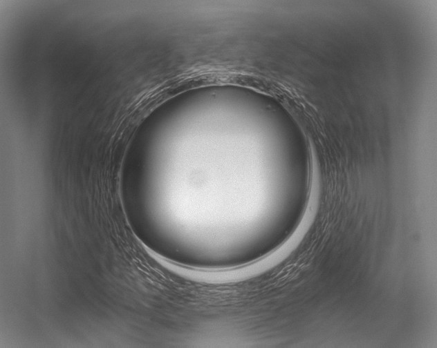 X0000056361157200508260938