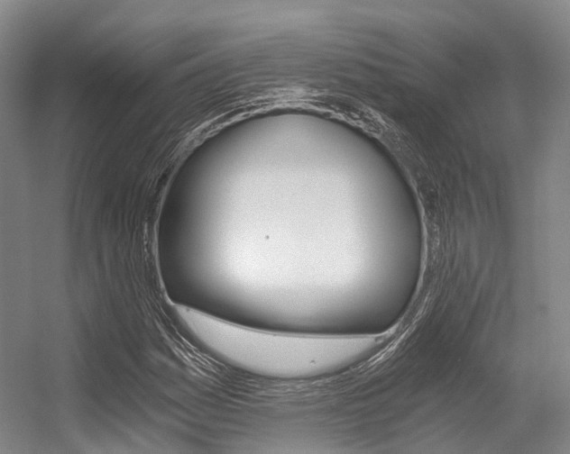 X0000056361161200508260938