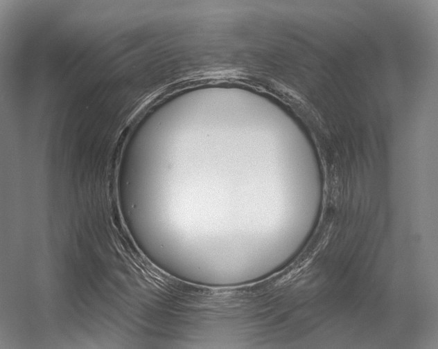 X0000056361162200508260938