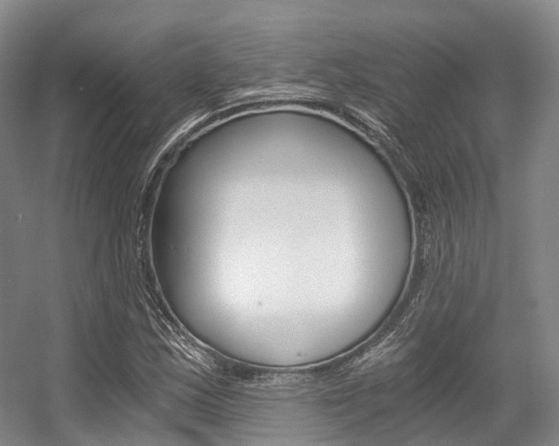 X0000056361163200508260938