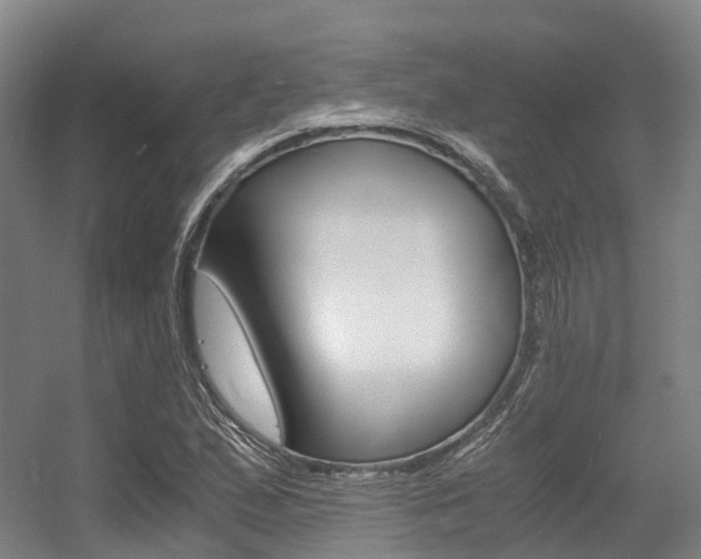 X0000056361167200508260938