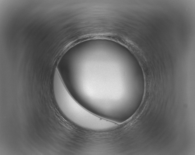 X0000056361169200508260938