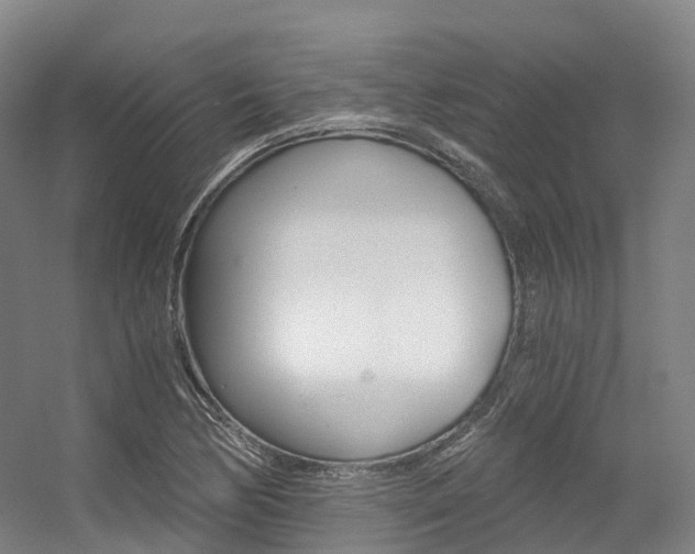 X0000056361170200508260938