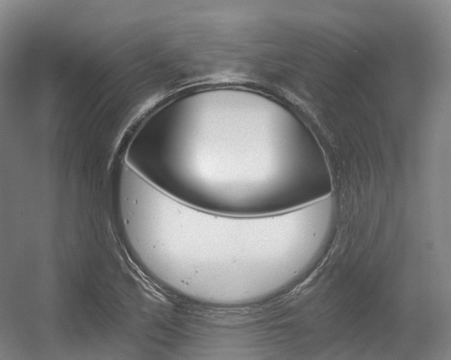 X0000056361171200508260938