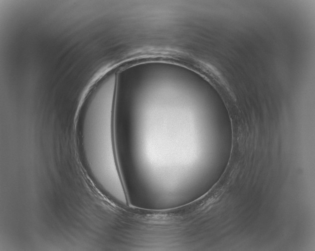 X0000056361172200508260938