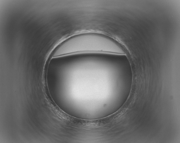 X0000056361173200508260938
