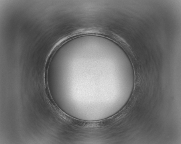 X0000056361174200508260938