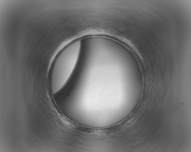X0000056361175200508260938