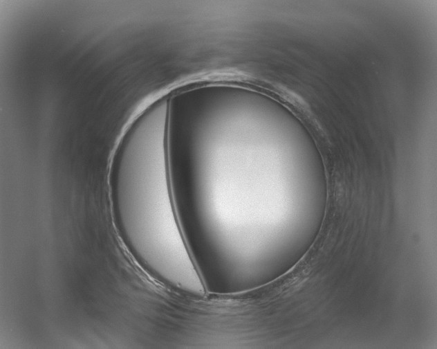 X0000056361176200508260938