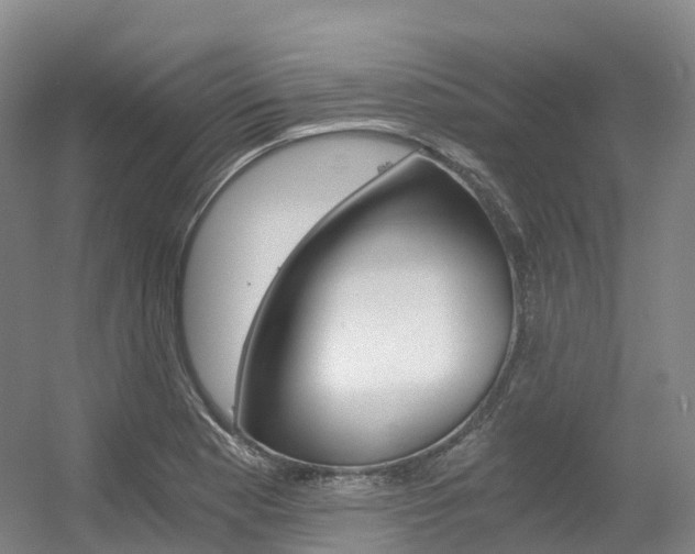 X0000056361177200508260938