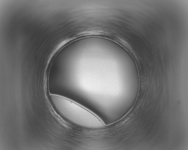 X0000056361179200508260938