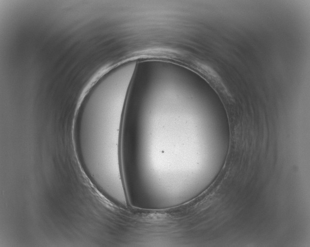 X0000056361180200508260938