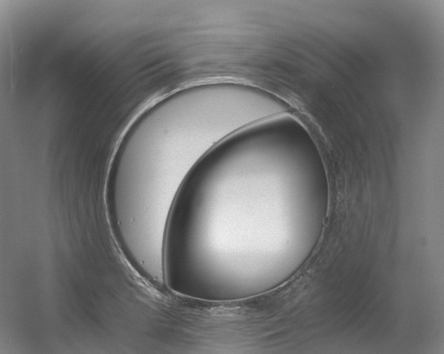 X0000056361181200508260938