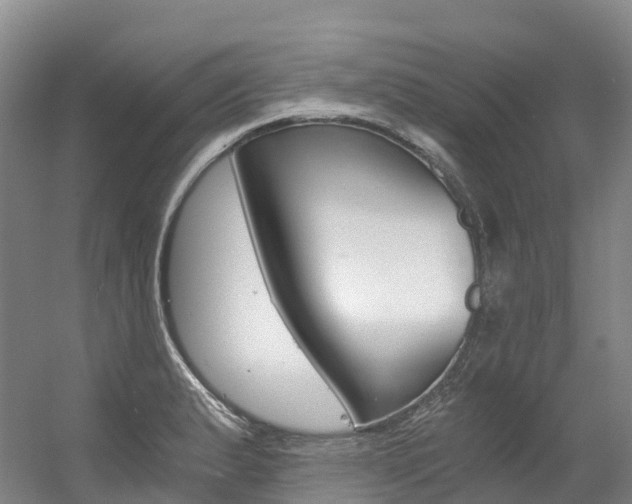 X0000056361183200508260938