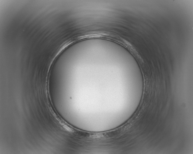 X0000056361186200508260938