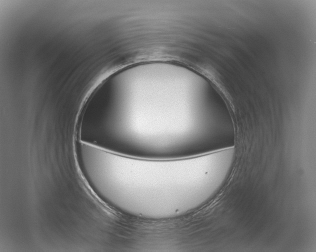 X0000056361187200508260938