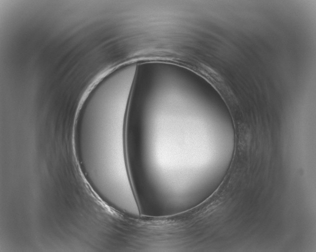 X0000056361188200508260938