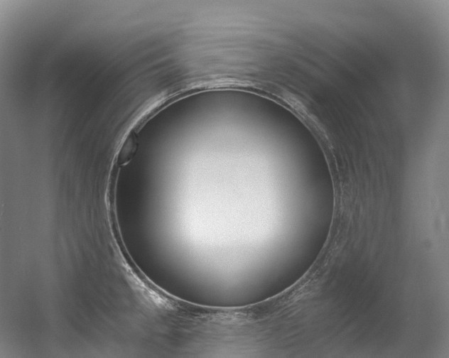 X0000056361189200508260938