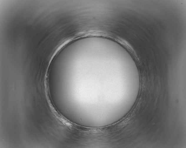X0000056361190200508260938