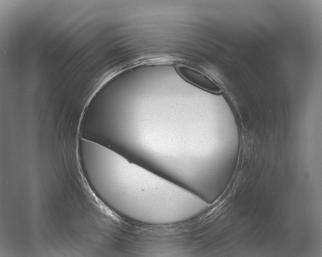 X0000056361194200508260938