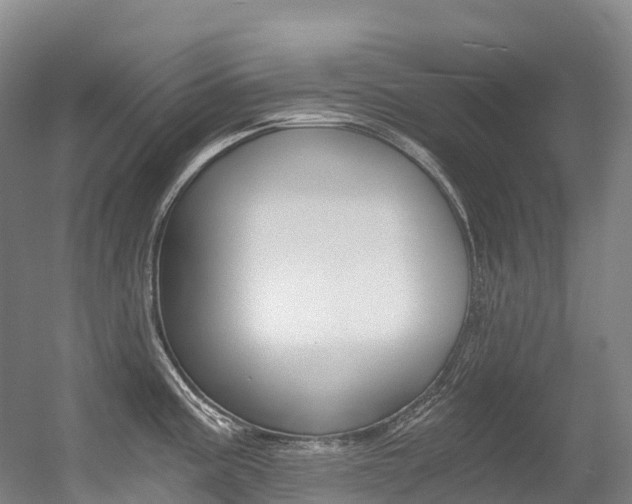 X0000056361195200508260938