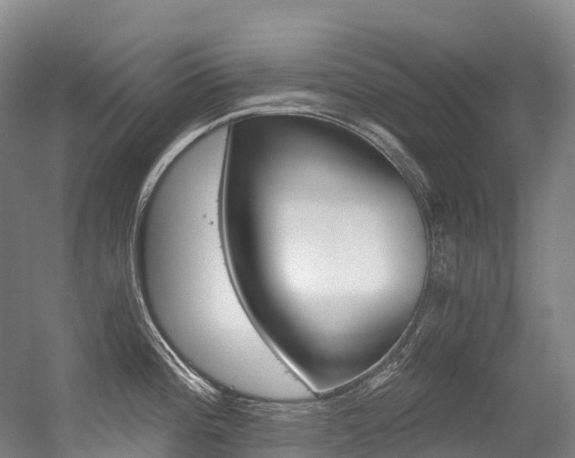 X0000056361196200508260938