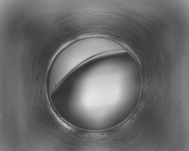 X0000056361197200508260938