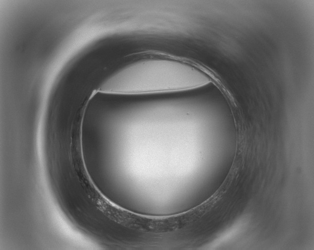 X0000056361199200508260938