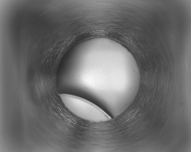 X0000056361201200508260937