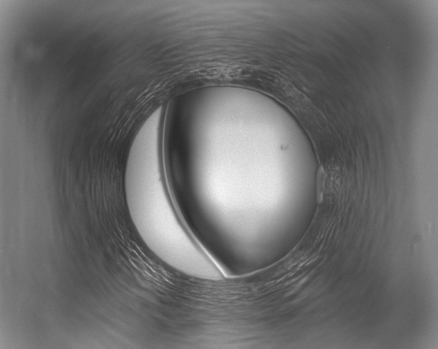 X0000056361202200508260937