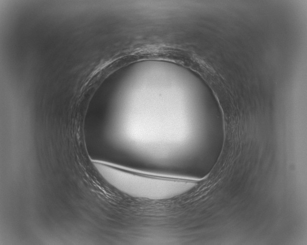 X0000056361206200508260937