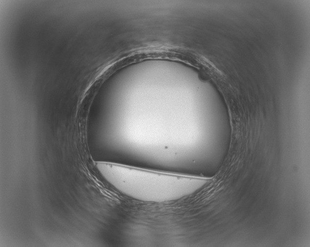X0000056361208200508260937
