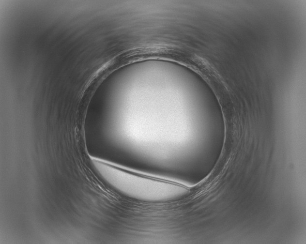 X0000056361210200508260937
